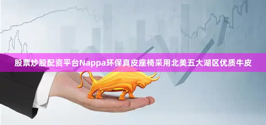 股票炒股配资平台Nappa环保真皮座椅采用北美五大湖区优质牛皮